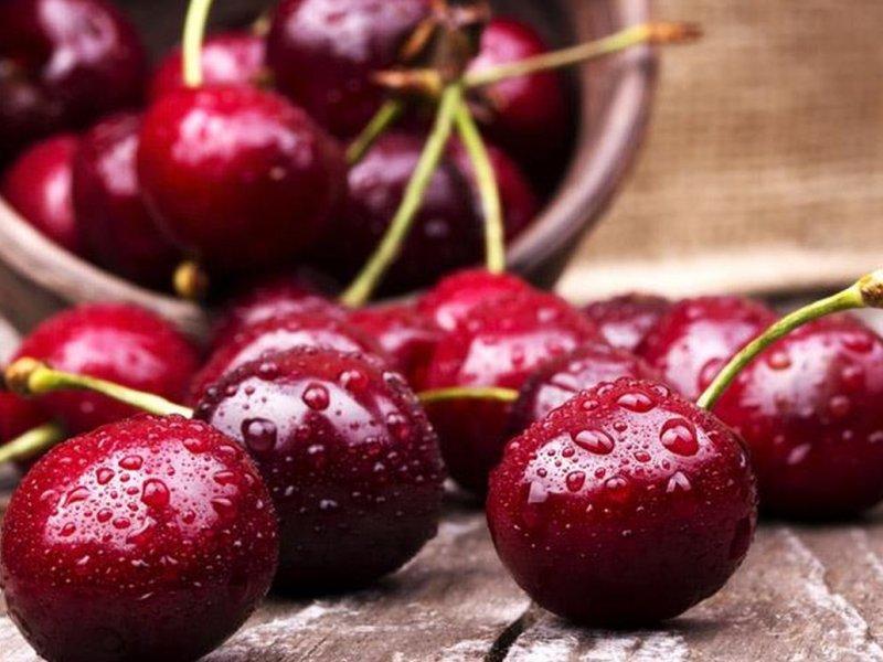 Вишня купить саженцы из питомника в Орске
